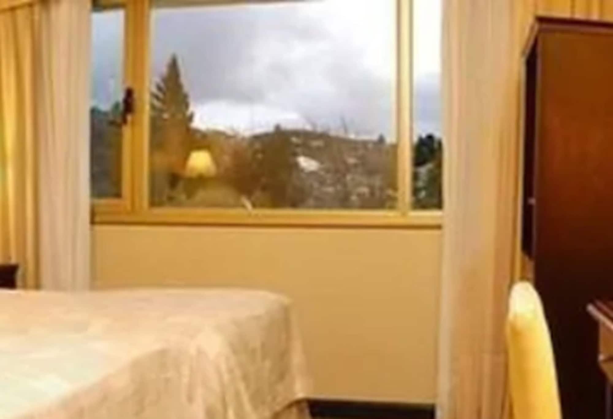 Kenton Palace Bariloche Экстерьер фото
